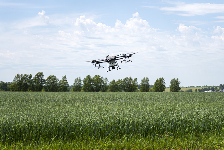 an industrial drone in the sky. drone sprayer flies over the agricultural field. smart farming and precision agriculture. quadrocopter for pollination of plants.