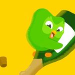 Duolingo’s Surge in Mandarin Learners Amid TikTok Ban and RedNote’s Rise