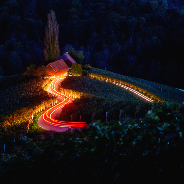 famous heart shaped wine road in slovenia, scenic night view from spicnik near maribor