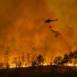 Wildfires in Los Angeles: Scammers Exploit Crisis Amid Relief Efforts