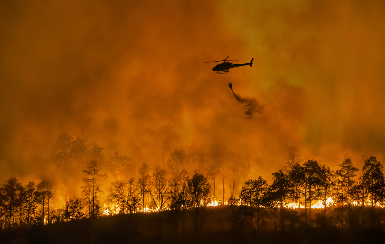 fire fighting helicopter carry water bucket to extinguish the forest fire.