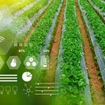 Top 7 Sensors Applied in Smart Farming