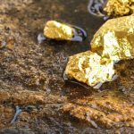 Precious Metals for Your Gold IRA Portfolio